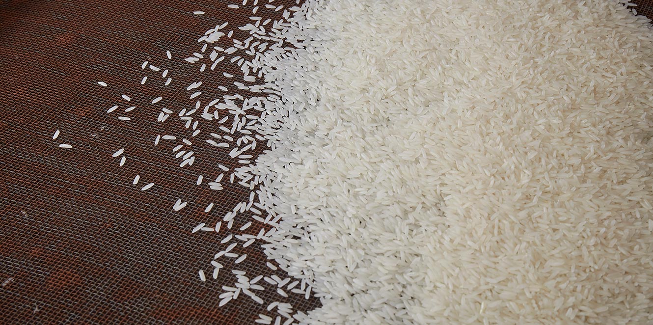 Rice Knowledge Slider 白米